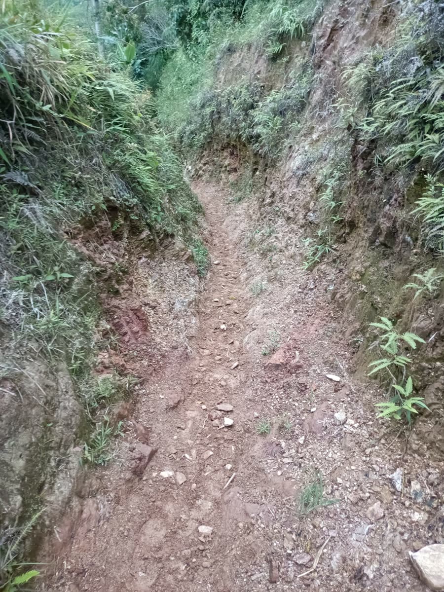 Enduro & Mountain Bike