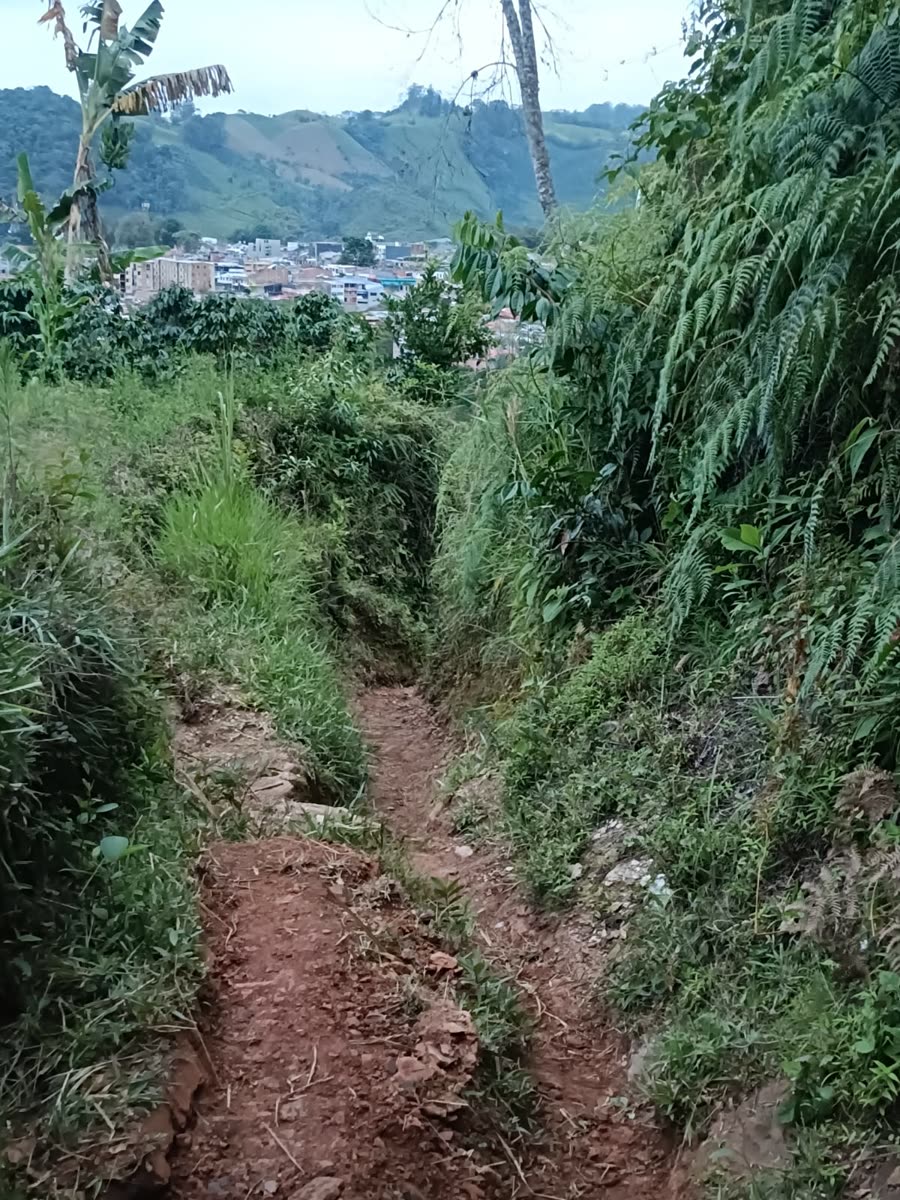 Enduro & Mountain Bike