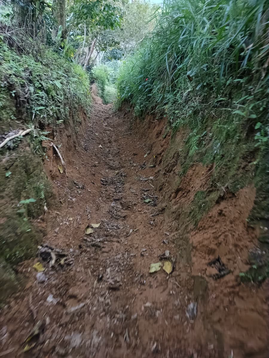 Enduro & Mountain Bike