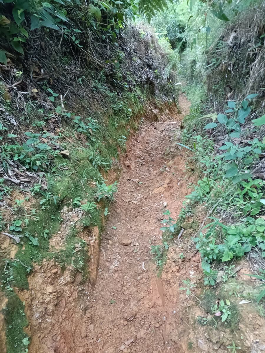 Enduro & Mountain Bike