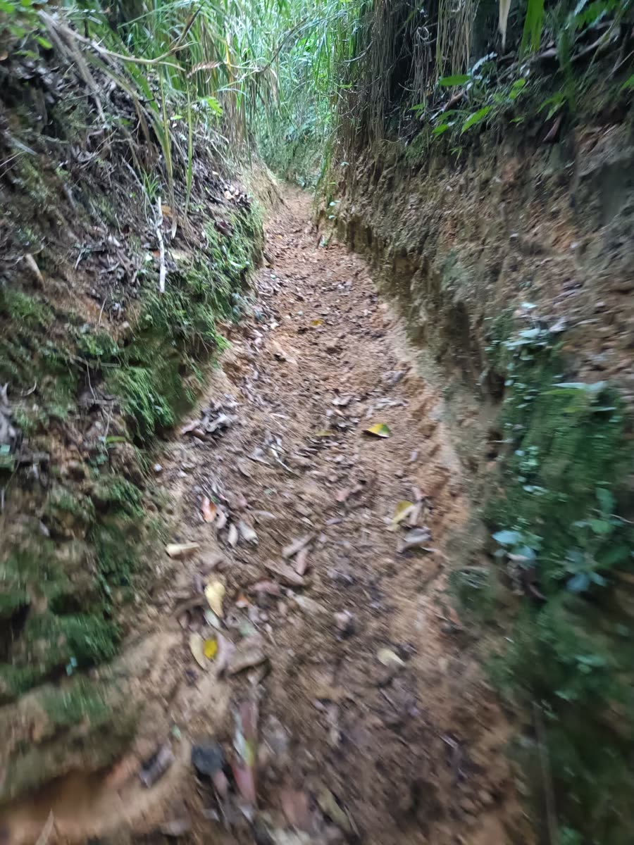 Enduro & Mountain Bike