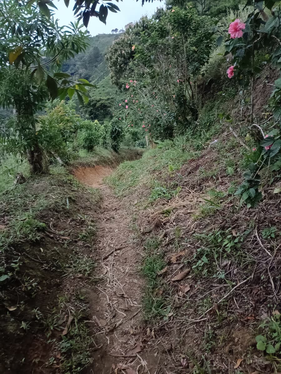 Enduro & Mountain Bike