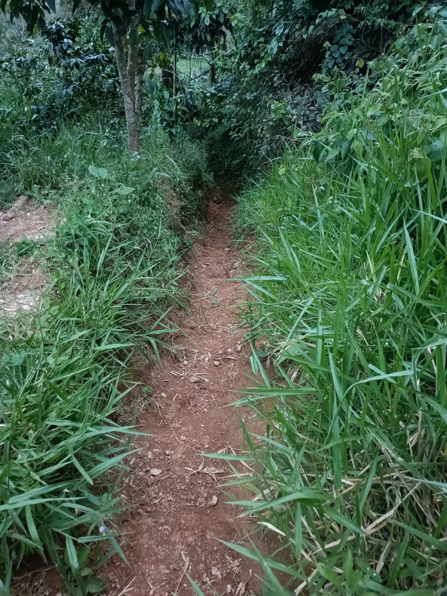 Enduro & Mountain Bike