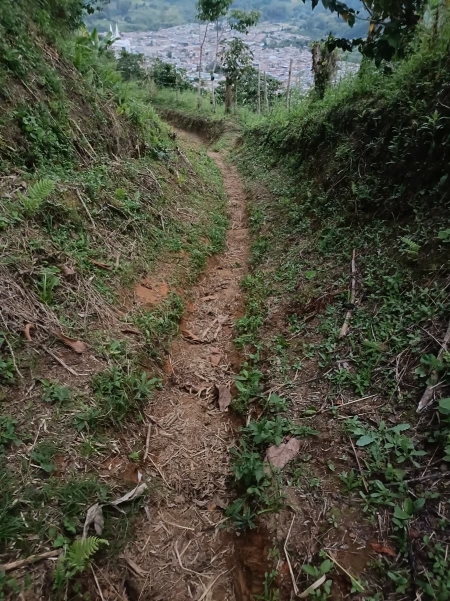 Enduro & Mountain Bike
