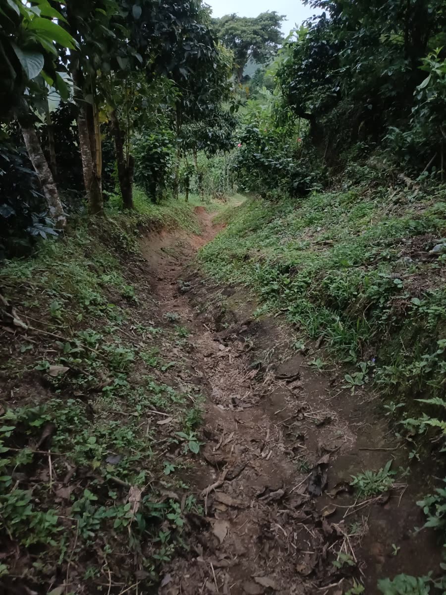 Enduro & Mountain Bike