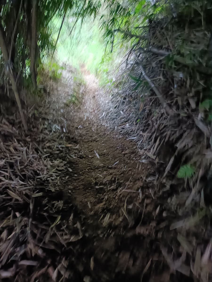 Enduro & Mountain Bike
