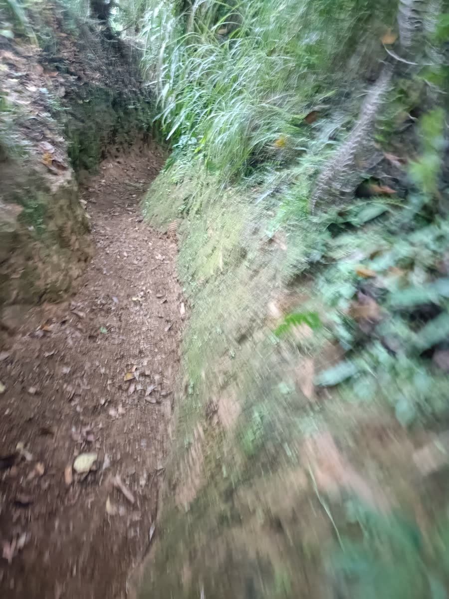 Enduro & Mountain Bike