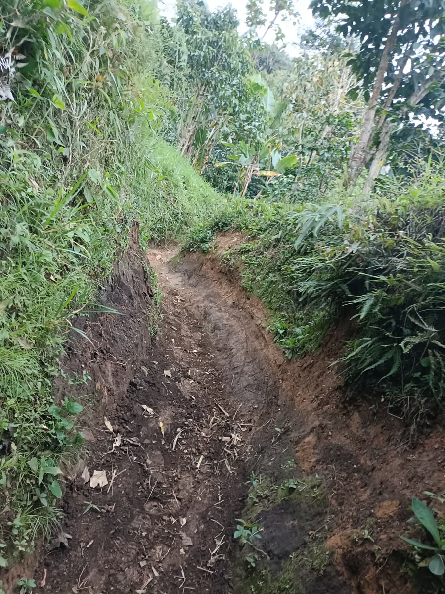 Enduro & Mountain Bike