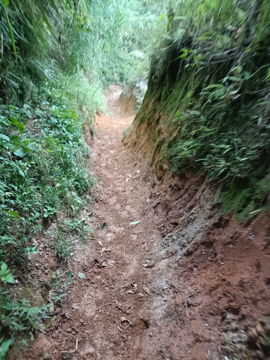 Enduro & Mountain Bike