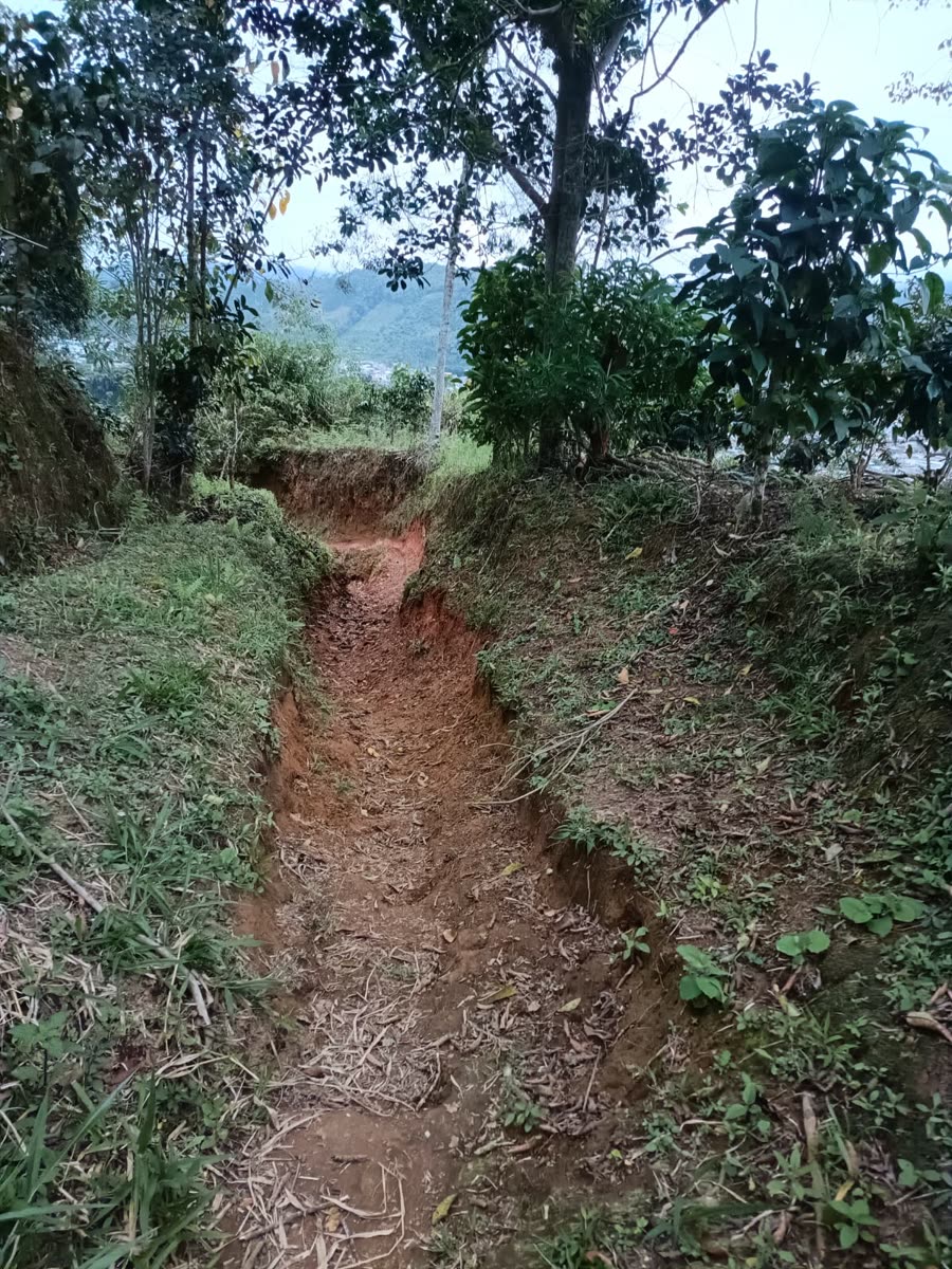 Enduro & Mountain Bike