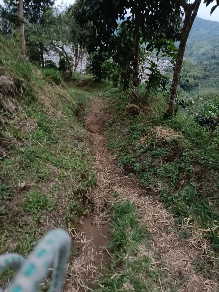 Enduro & Mountain Bike