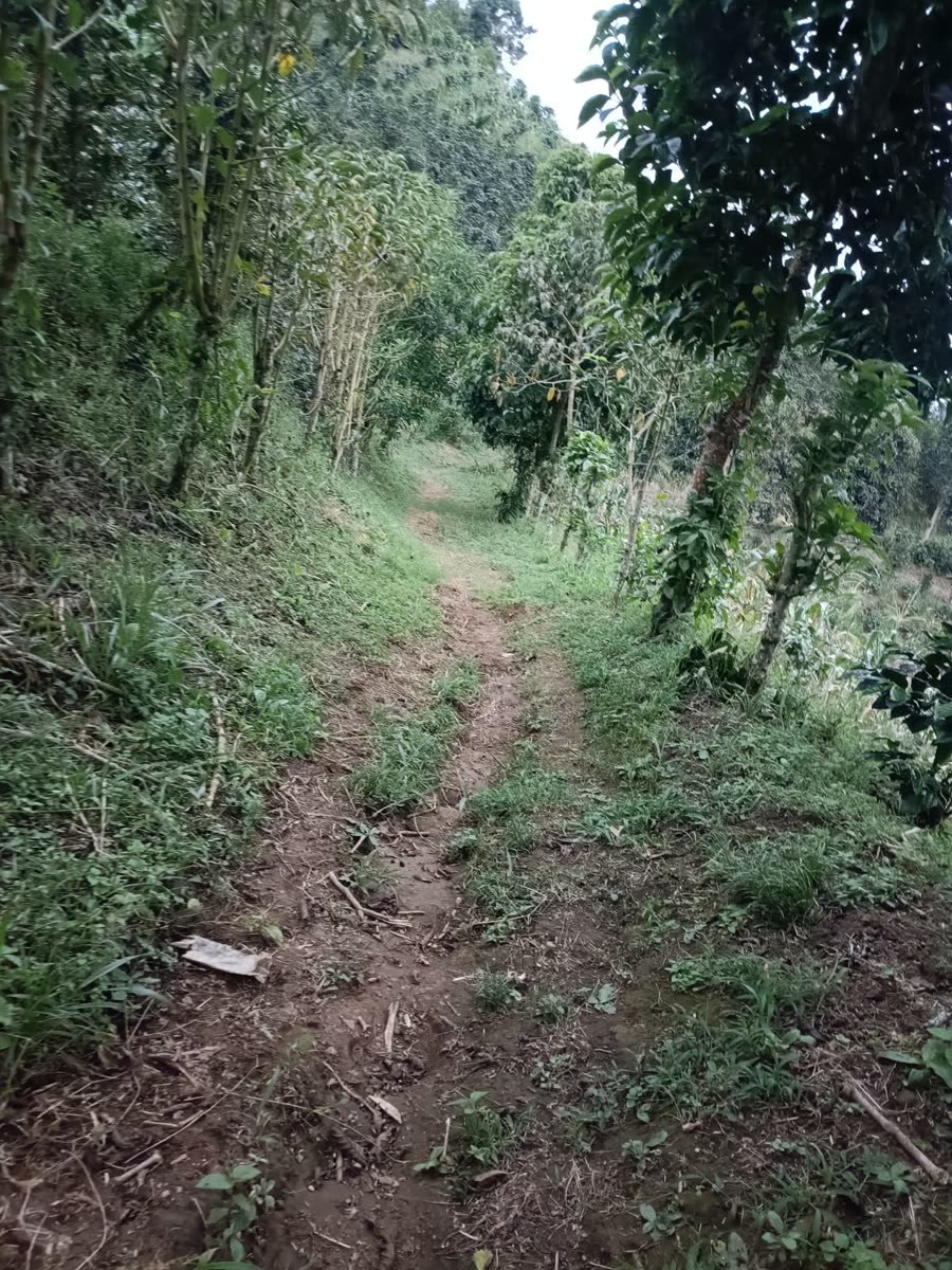 Enduro & Mountain Bike