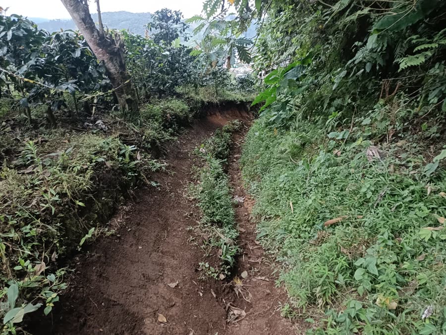 Enduro & Mountain Bike