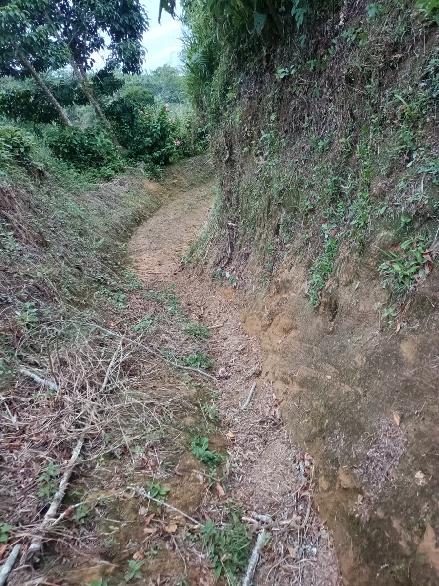 Enduro & Mountain Bike