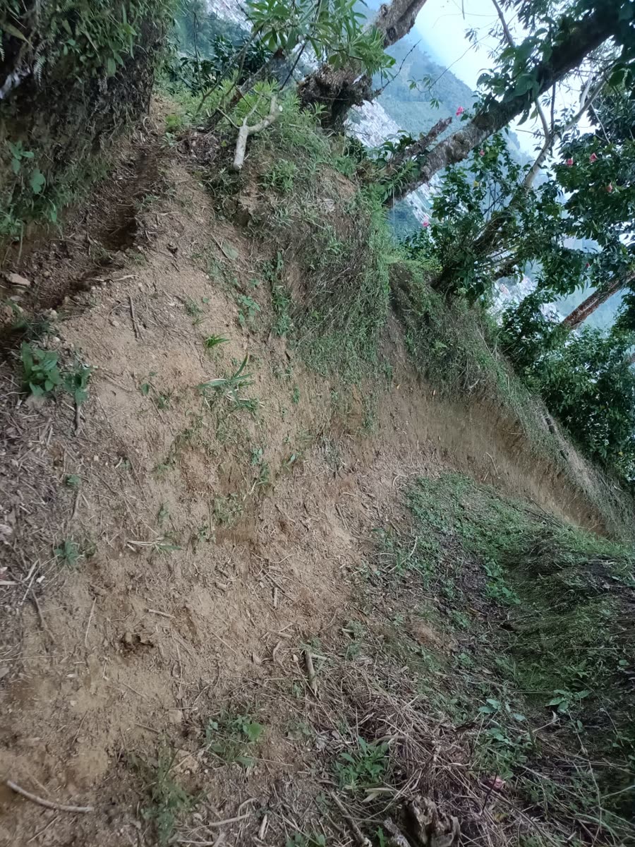 Enduro & Mountain Bike