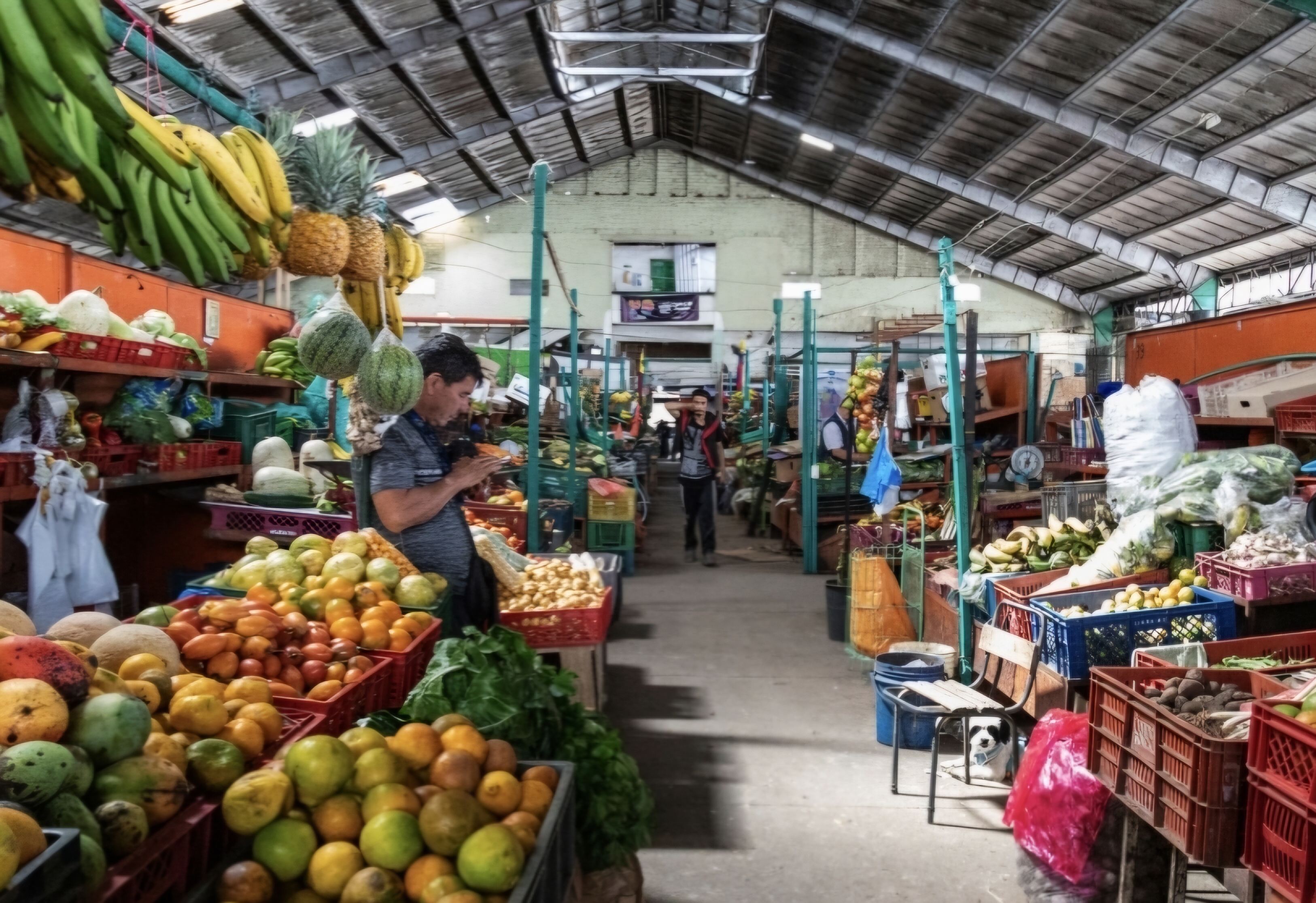Negocios Locales