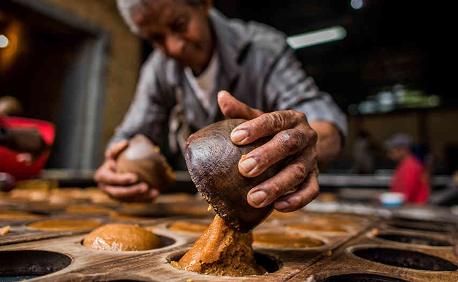 Trapiches y Fabricación de Panela